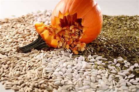 Mqgic pumpkin seeds